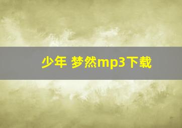 少年 梦然mp3下载